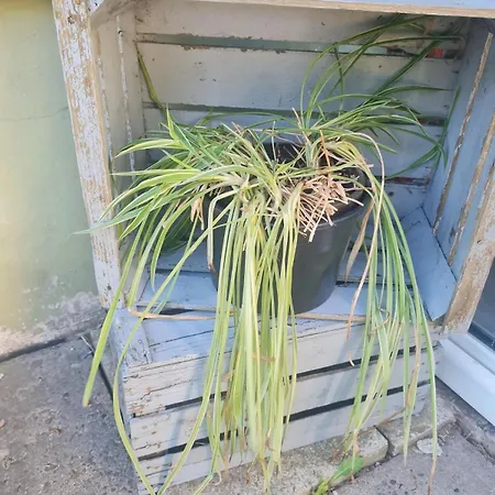 شقة Unter Den Linden